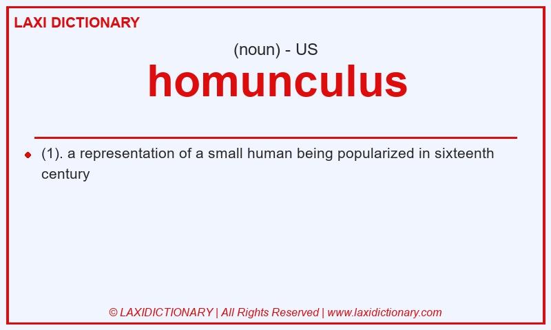 Definition homunculus in American English