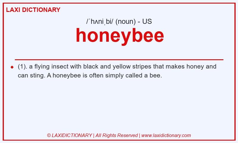 Definition honeybee in American English