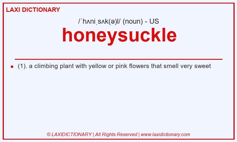 Definition honeysuckle in American English