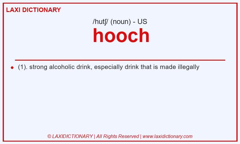 Definition hooch in American English