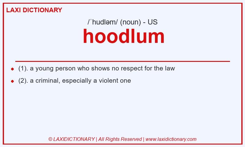 Definition hoodlum in American English
