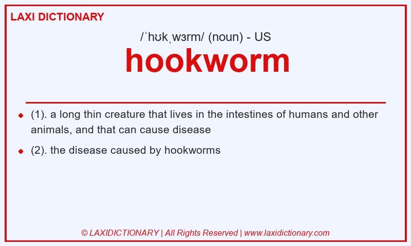 Definition hookworm in American English