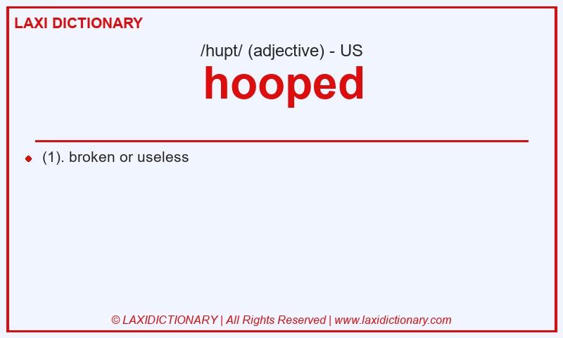 Definition hooped in American English