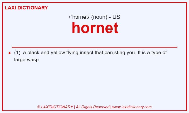 Definition hornet in American English