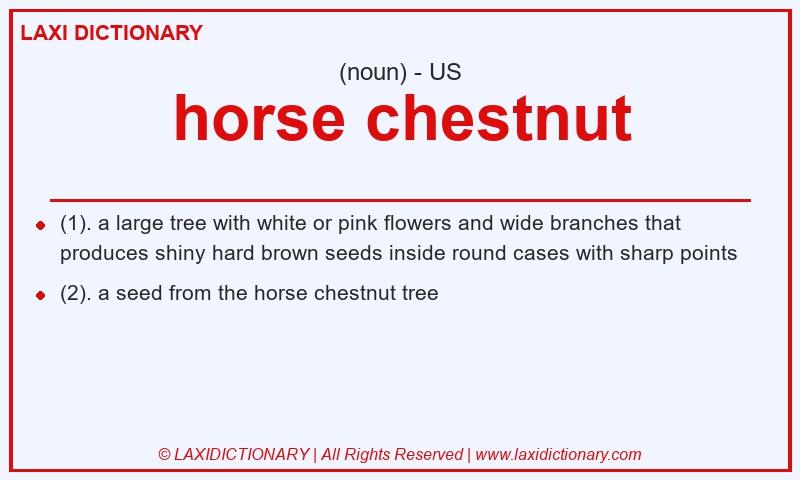 Definition horse chestnut in American English