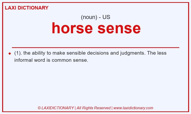 Definition horse sense in American English