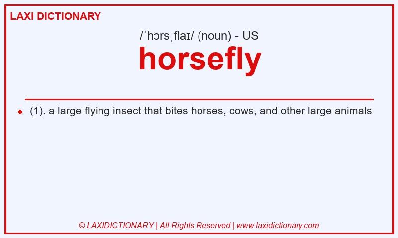 Definition horsefly in American English