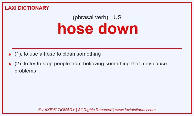 Definition hose down in American English