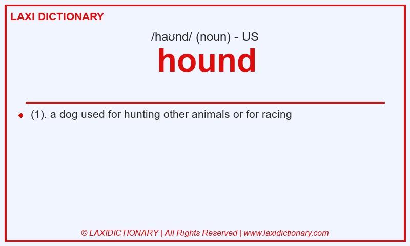 Definition hound in American English