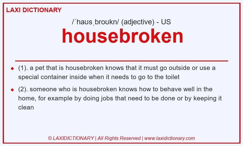 Definition housebroken in American English
