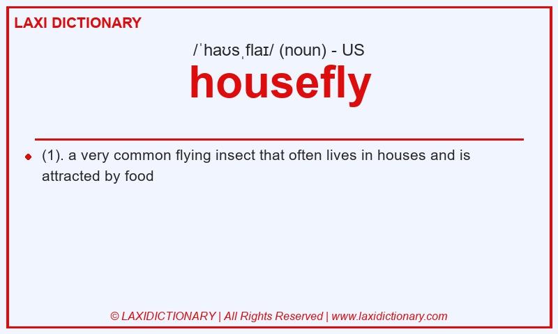 Definition housefly in American English