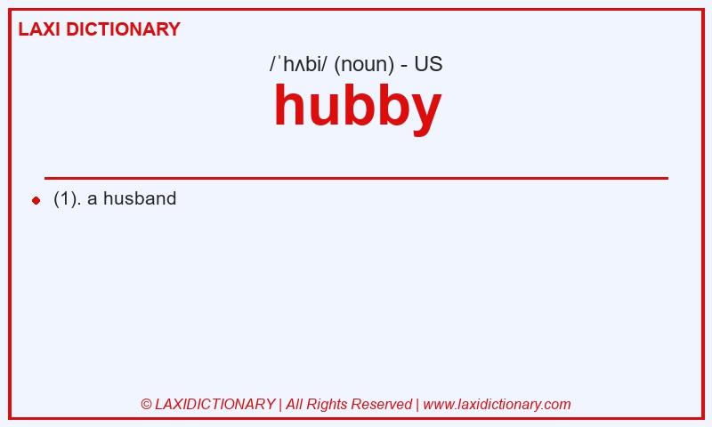 Definition hubby in American English