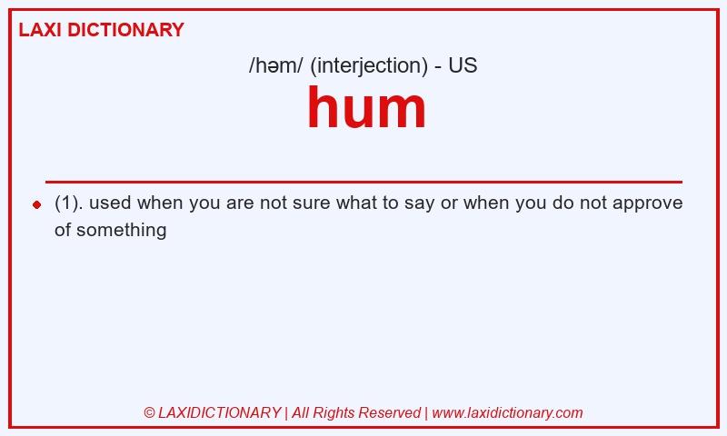Definition hum in American English