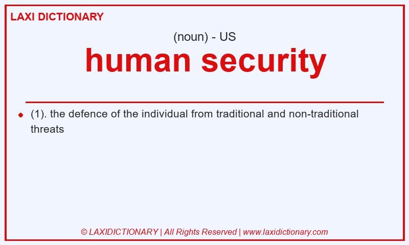 Definition human security in American English