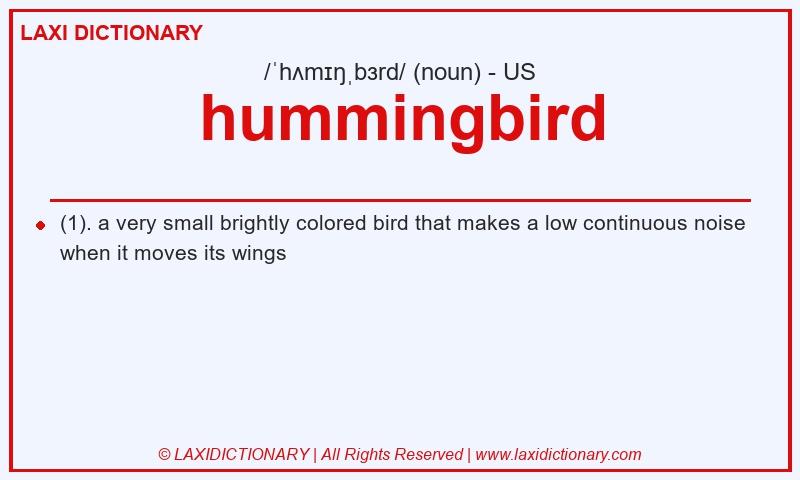 Definition hummingbird in American English
