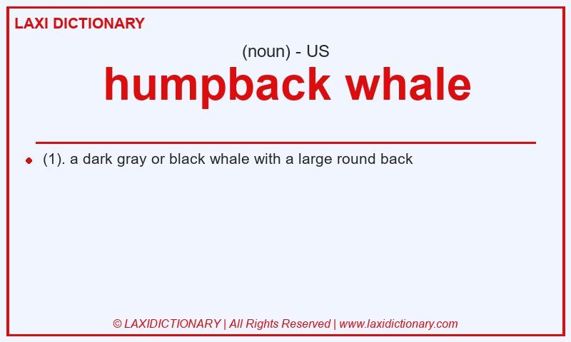 Definition humpback whale in American English