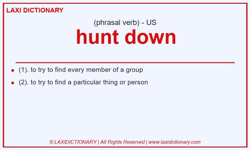 Definition hunt down in American English