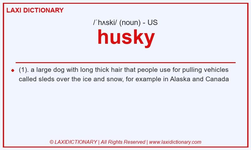 Definition husky in American English