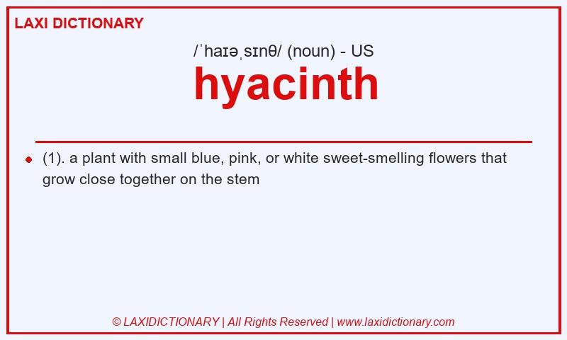 Definition hyacinth in American English