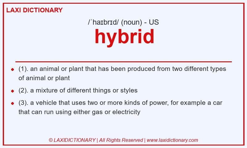 Definition hybrid in American English