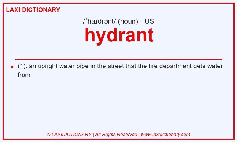 Definition hydrant in American English