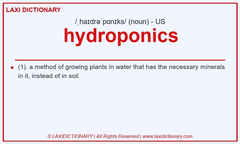 Definition hydroponics in American English