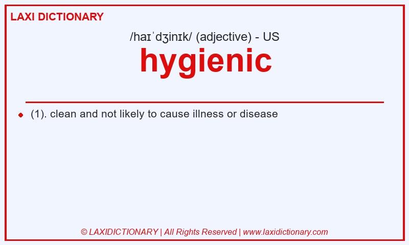 Definition hygienic in American English