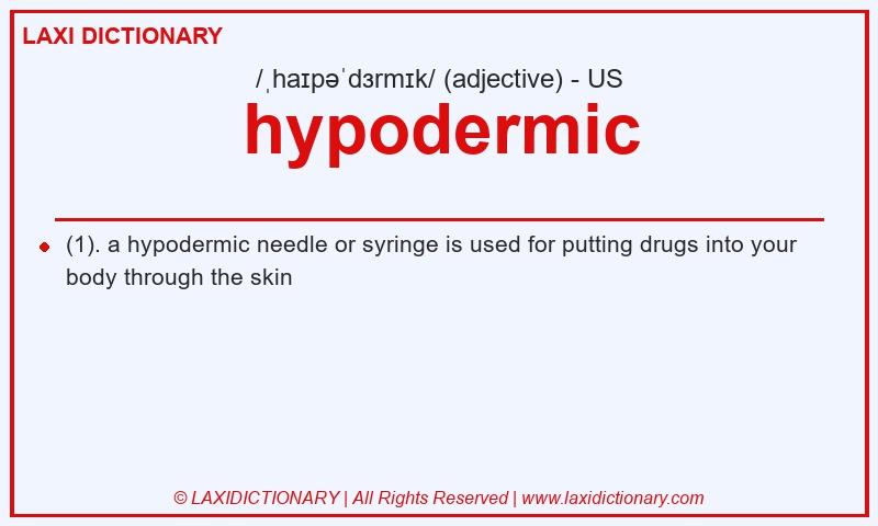 Definition hypodermic in American English