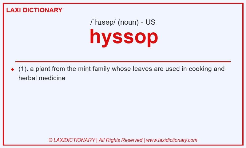 Definition hyssop in American English