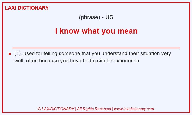 Definition I know what you mean in American English