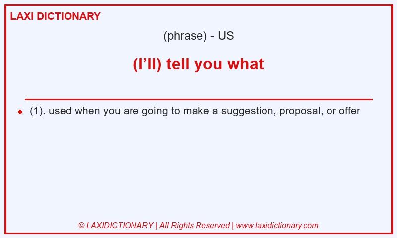 Definition (I’ll) tell you what in American English