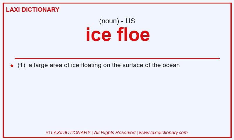Definition ice floe in American English