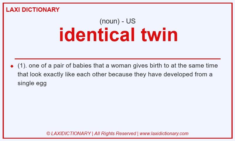 Definition identical twin in American English