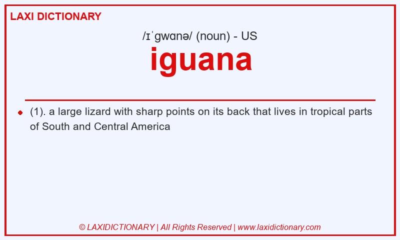 Definition iguana in American English