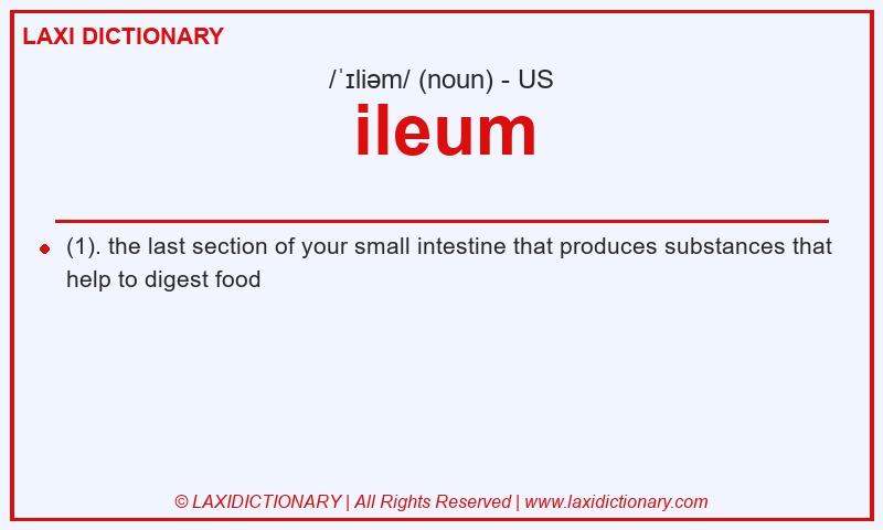 Definition ileum in American English