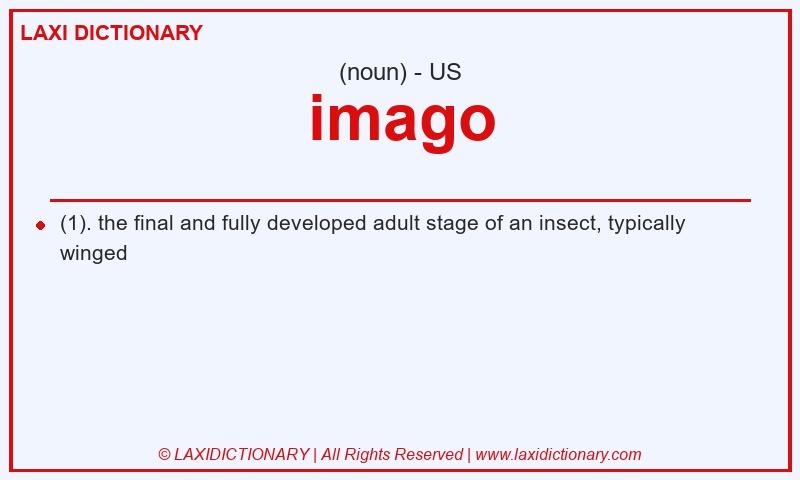 Definition imago in American English