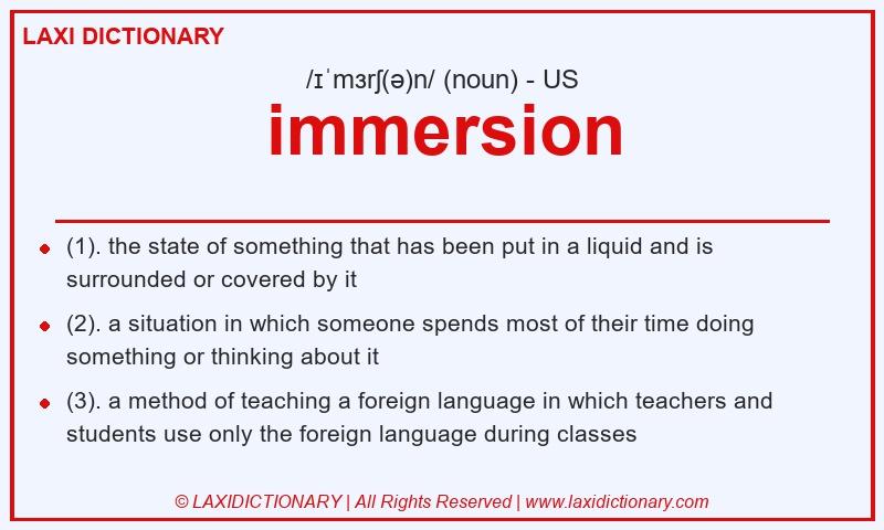 Definition immersion in American English