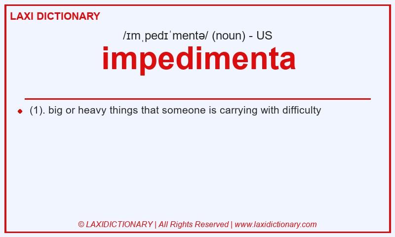 Definition impedimenta in American English