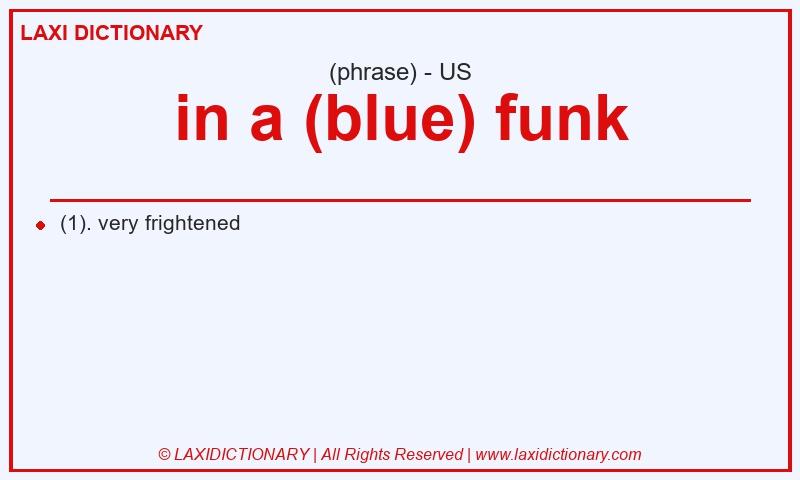 Definition in a (blue) funk in American English