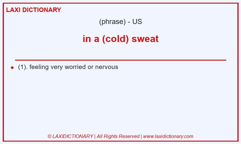 Definition in a (cold) sweat in American English