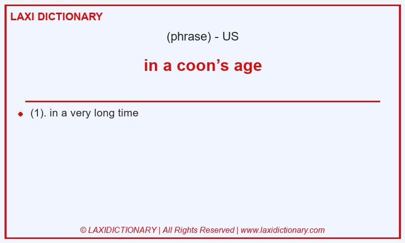 Definition in a coon’s age in American English