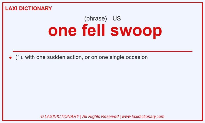 Definition  one fell swoop in American English