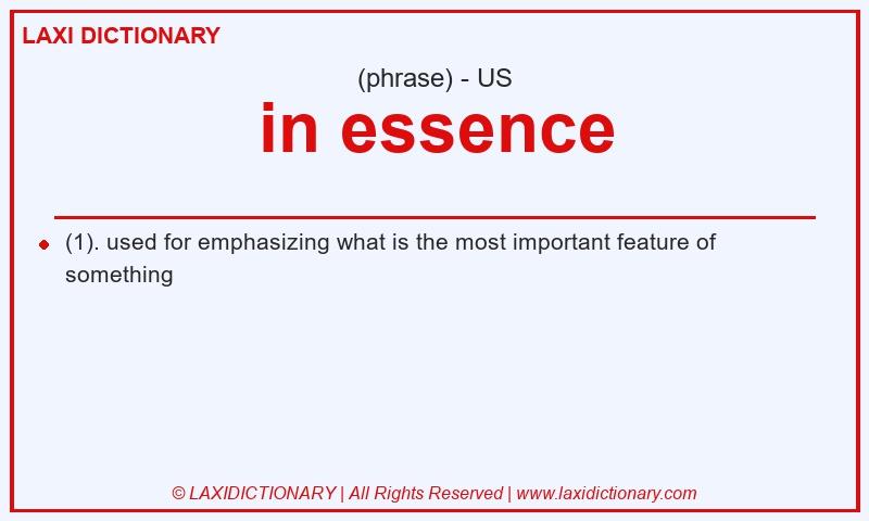 Definition in essence in American English