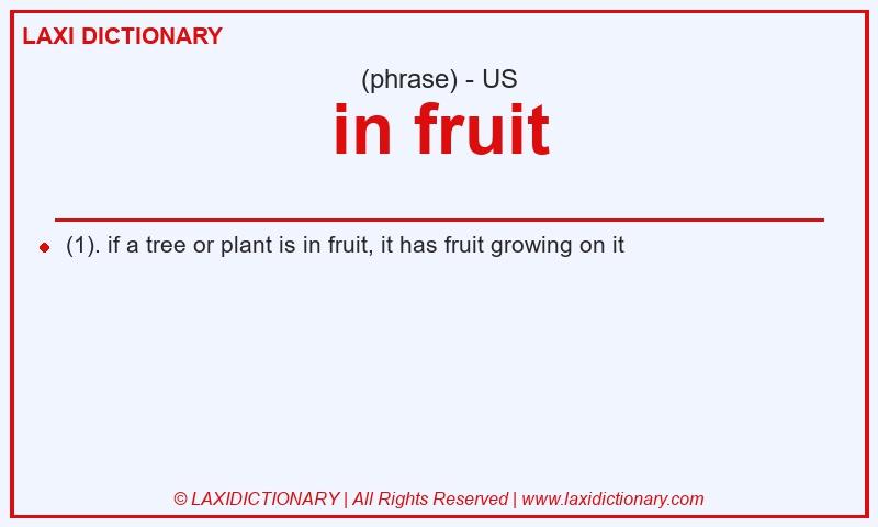 Definition in fruit in American English