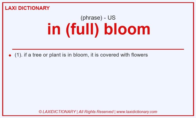 Definition in (full) bloom in American English