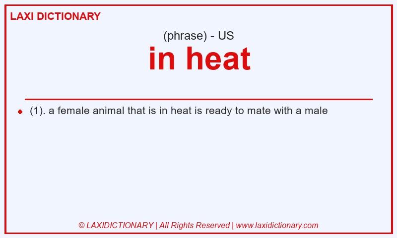 Definition in heat in American English