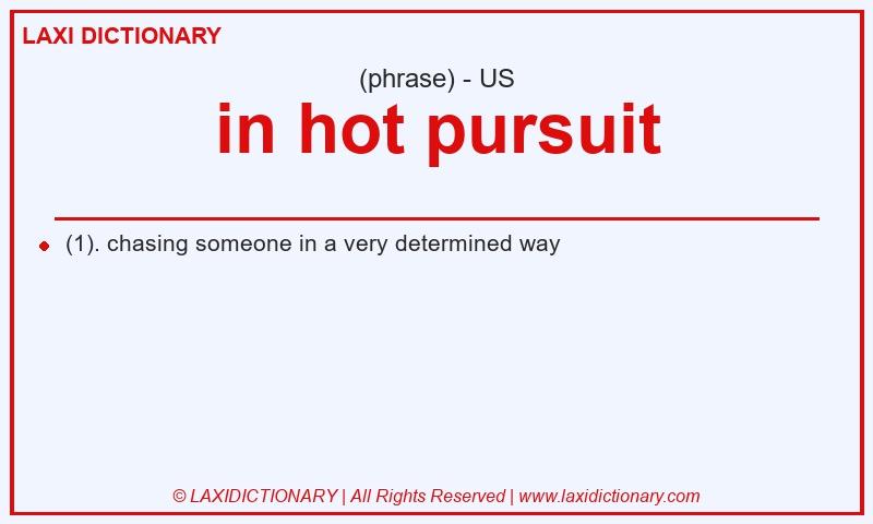 Definition in hot pursuit in American English