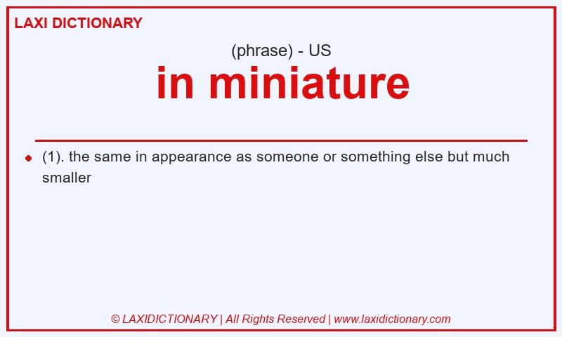 Definition in miniature in American English
