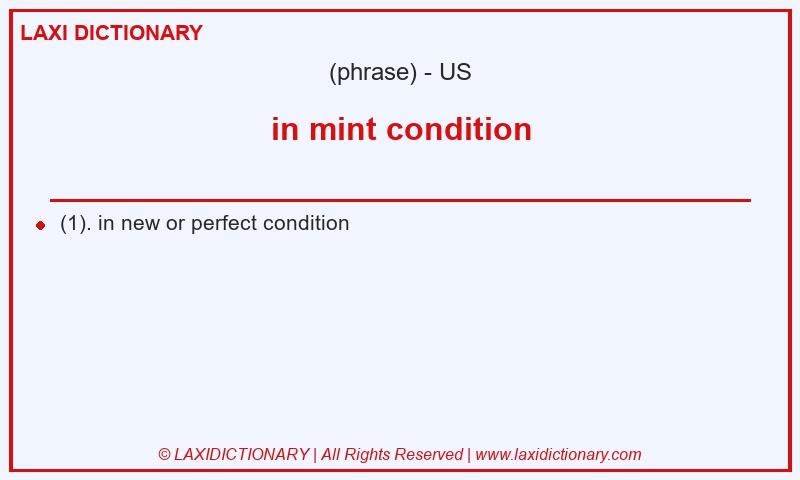 Definition in mint condition in American English