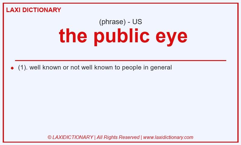 Definition the public eye in American English